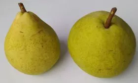 Праздничная