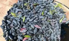 Сбор урожая и его хранение