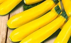 Сроки сбора и урожайность