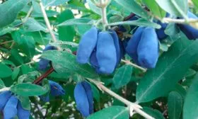 UT-00018948_2024-02-01_12-15-11