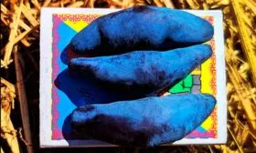 Жимолость-канадская-Блю-Банана2