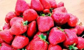 Созревание