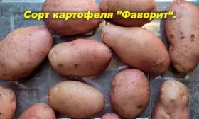 ПРодуктивность