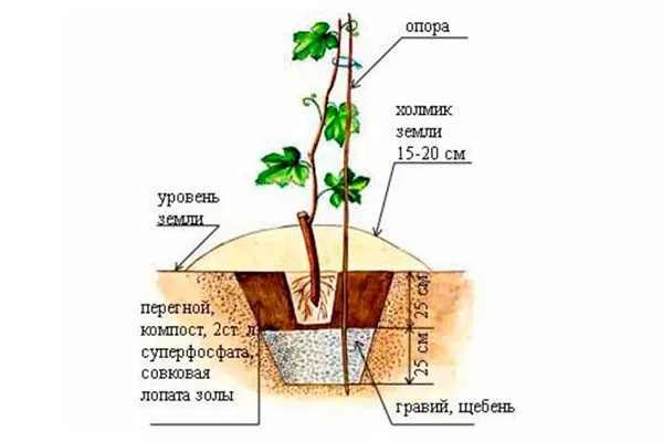 Правила посадки