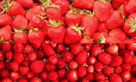 клубника и земляника