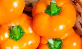 Сбор и хранение