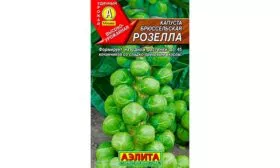 Особенности внешних показателей и вкуса