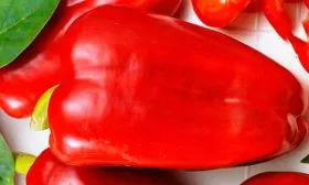 Плоды, их вкусовые качества и назначение