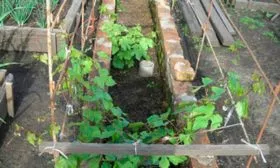 Правила посадки