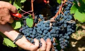 Как собирать