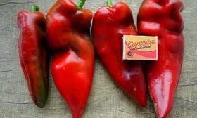 Сроки созревания