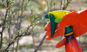 Опрыскивание