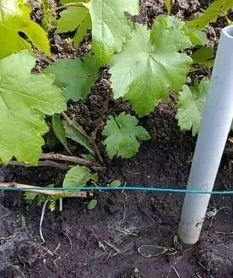 Уход