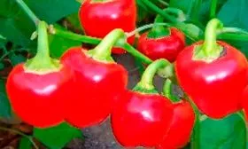 Характеристики