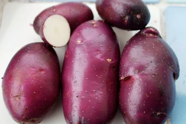 Вкусовые качества картофеля Василёк