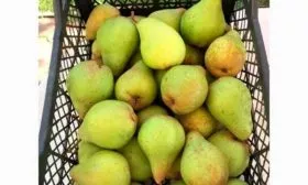 Сбор и хранение