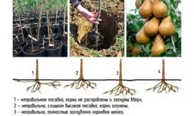 Правила посадки