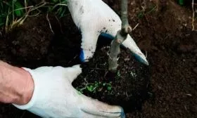 Нюансы посадки