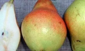 Плоды в разрез