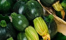 характеристики