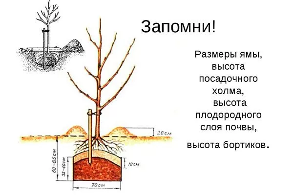 Посадка