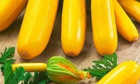 Ясмин описание