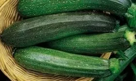 кабачок карина