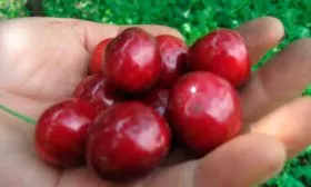 Характеристики