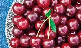 Урожай вишни