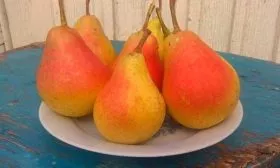 Груша плоды