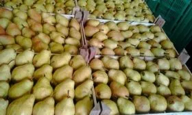 Когда собирать и как хранить