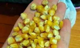 Назначение и вкусовые качества
