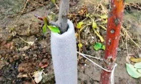 Подготовка к зиме