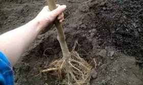 Правила посадки