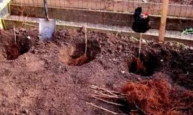 Правила посадки