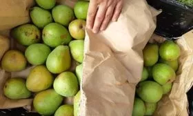 Сбор и хранение