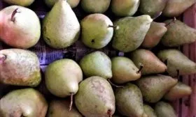 Сбор и хранение