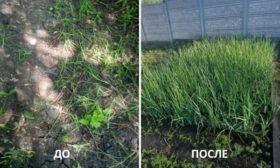 До и после Корневина