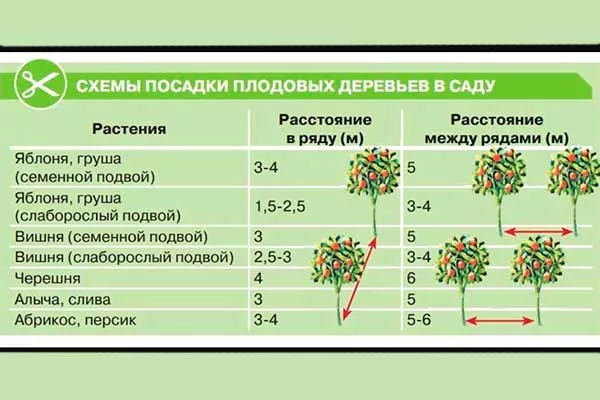 схема посадкт