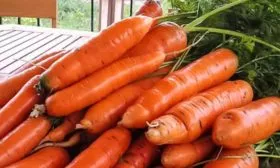 назначение