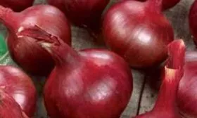 Характеристика