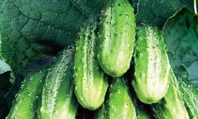 Характеристики