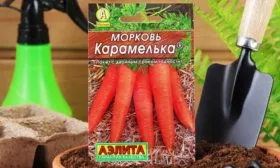 Какие-производители-выпускают-семена-моркови-Карамелька
