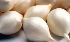 лук-Белый орел