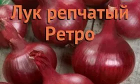 ретро