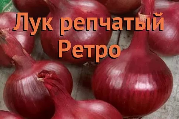 ретро