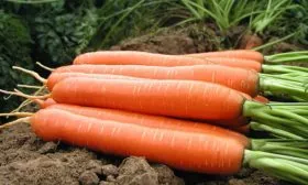 подходит для детского и диетического питания.