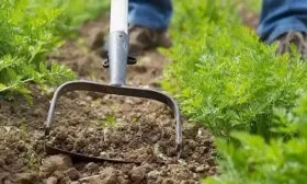 Рыхление-и-прополка