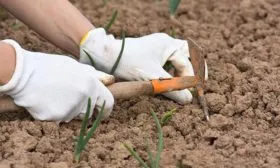 Рыхление-и-прополка