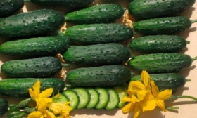 Сбор урожая и хранение